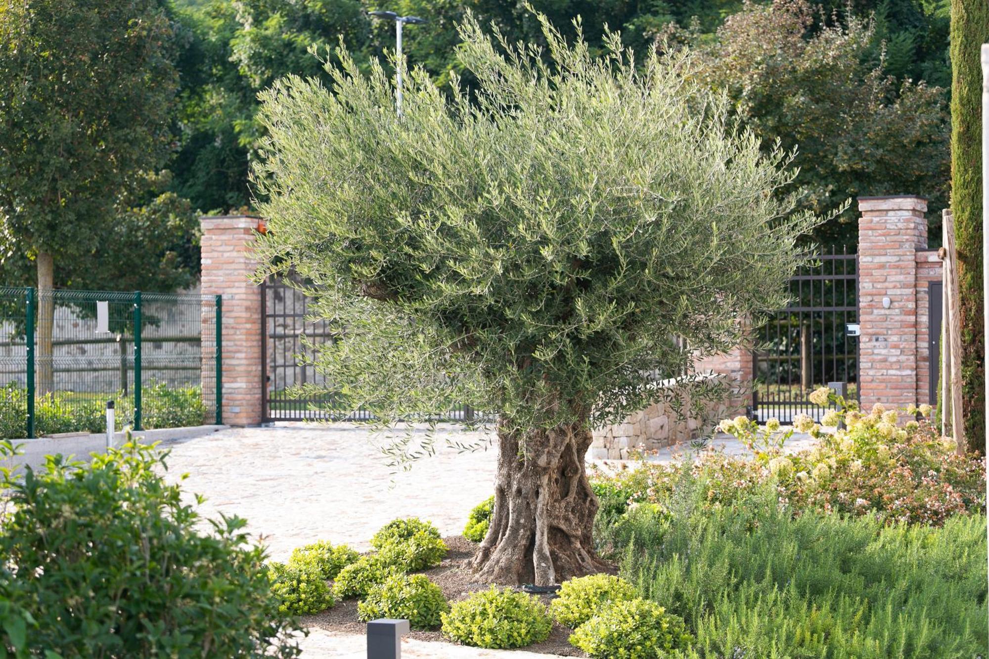 Casa Massaro Todeschini Aparthotel Abano Terme Ngoại thất bức ảnh